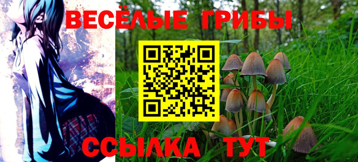 Псилоцибиновые грибы прущие грибы Кызыл
